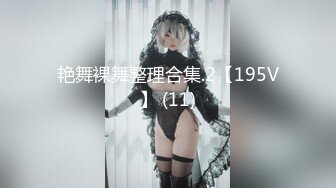 艳舞裸舞整理合集.2【195V】 (11)