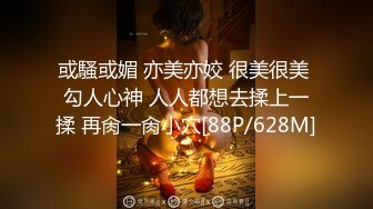 或騷或媚 亦美亦姣 很美很美 勾人心神 人人都想去揉上一揉 再肏一肏小穴[88P/628M]