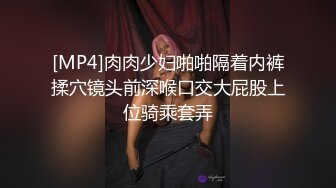 [MP4]肉肉少妇啪啪隔着内裤揉穴镜头前深喉口交大屁股上位骑乘套弄