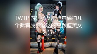 TWTP 游乐场女厕全景偷拍几个撅着屁股嘘嘘的高颜值美女2 (5)