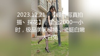 2023.12.21，【模特写真拍摄丶探花】，重金2000一小时，极品美乳模特，坚挺白嫩大白兔