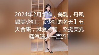 2024年2月新作，美乳，丹凤眼美少妇，【少妇的冬天】五天合集，风骚尤物，坚挺美乳骚气逼人一直流1