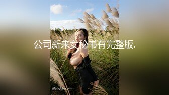 公司新来女秘书有完整版.